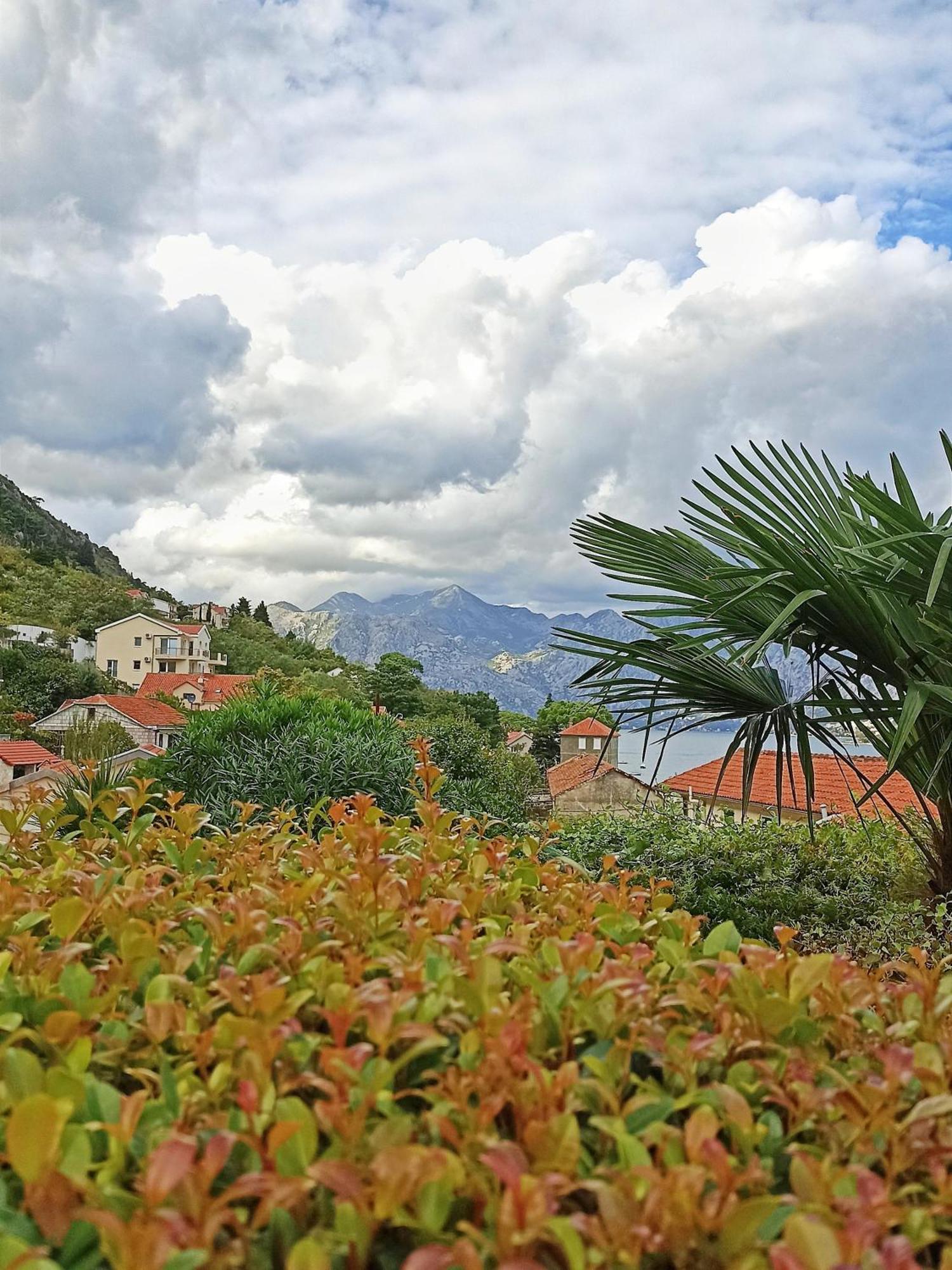 Apartment Kotor Exteriér fotografie